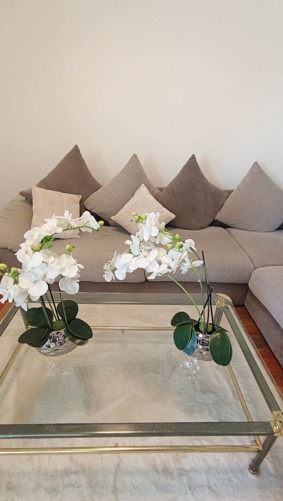 Orchid�e en plastique 25 Chelles (77)