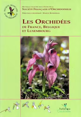 Les Orchid�es De France, Belgique Et Luxembourg 25 Camors (56)