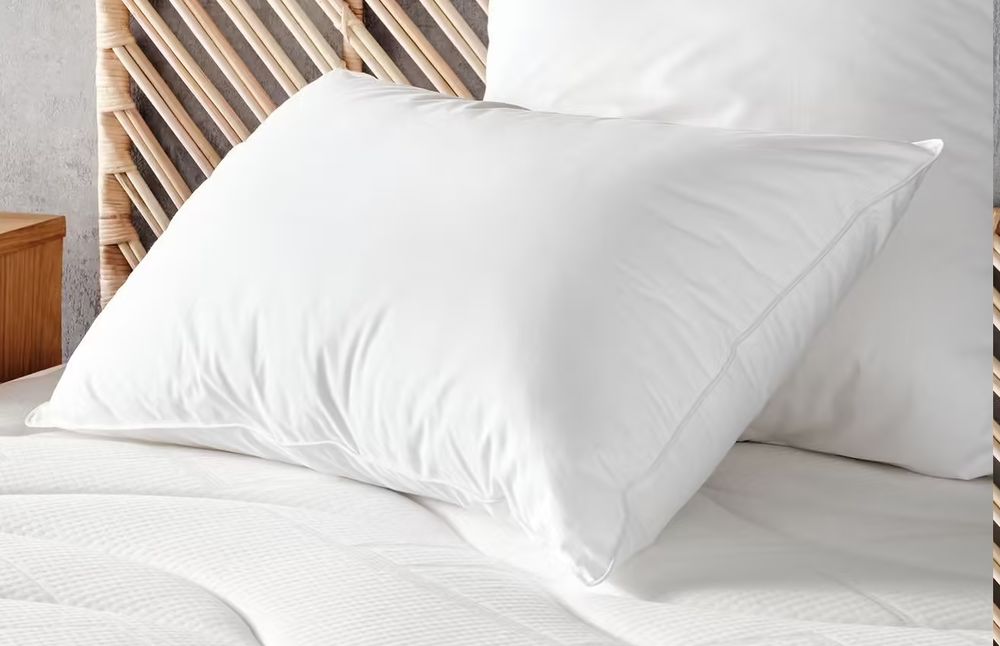 oreiller m�moire de forme Mei Alinea 15 Beauchamp (95)