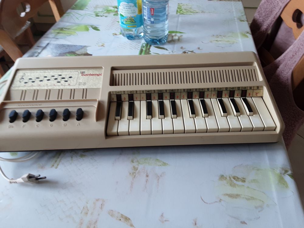 Orgue bontempi 30 Wormhout (59)