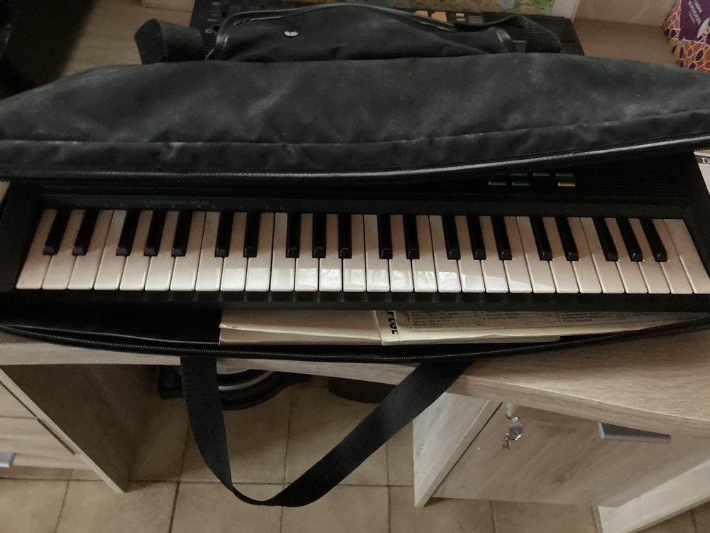 Orgue synth�tiseur 
100 Mauguio (34)