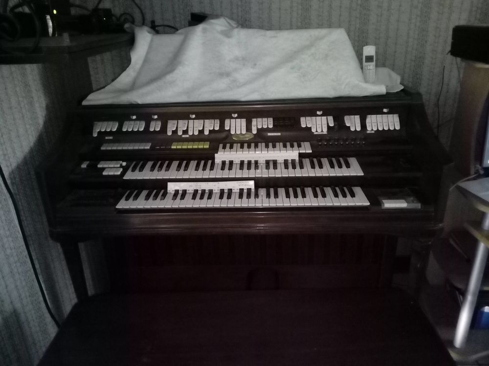 orgue wurlitzer 350 Briollay (49)