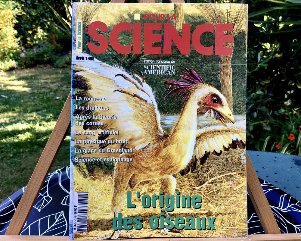 L'Origine des Oiseaux ; Revue   Pour la Science   Neuve,114p 2 L'Isle-Jourdain (32)