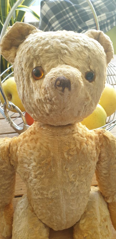 Ours ancien 80 Auribeau-sur-Siagne (06)