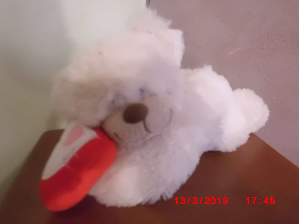 OURS BEIGE MAXITA 16 Oignies (62)