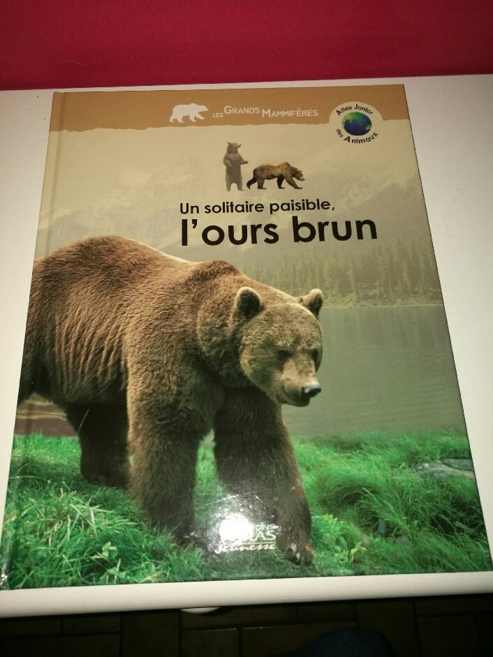 L'OURS BRUN 5 Villiers (86)