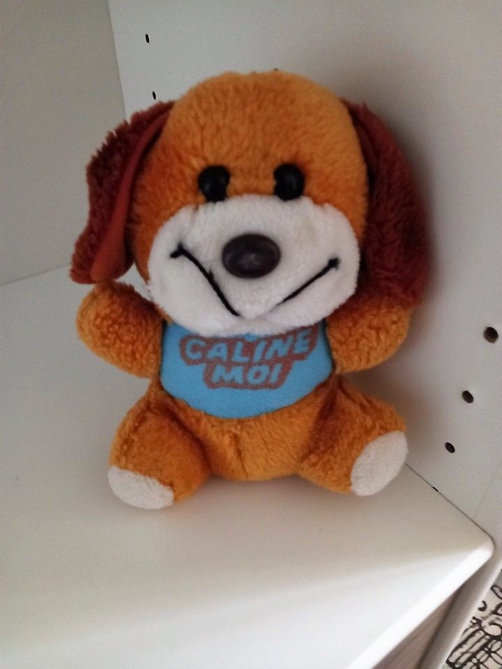 OURS CALINE MOI Peluche 2 Villiers (86)