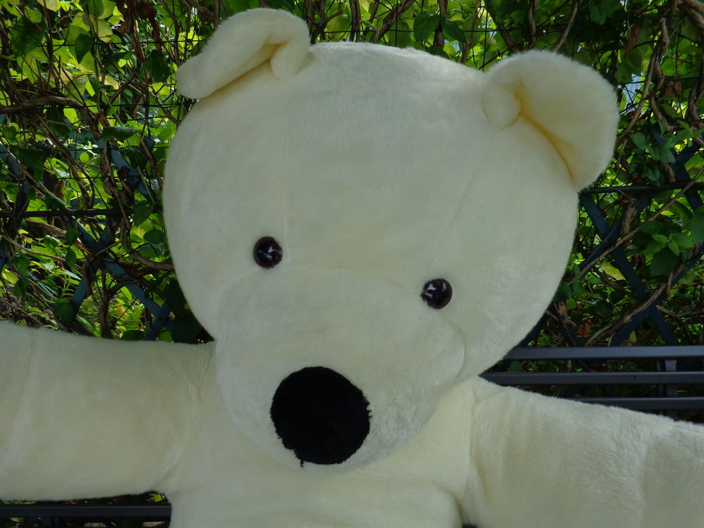 Ours g�ant couleur �cru. 100 Theix (56)