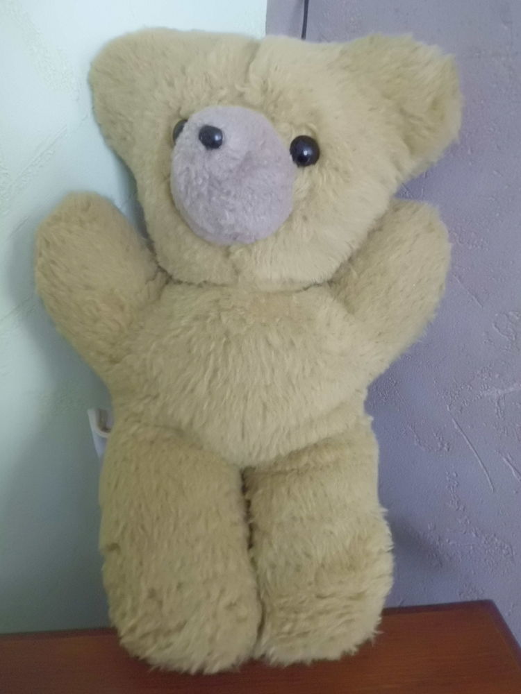 OURS MARRON CLAIR CHAMTI 24 Oignies (62)