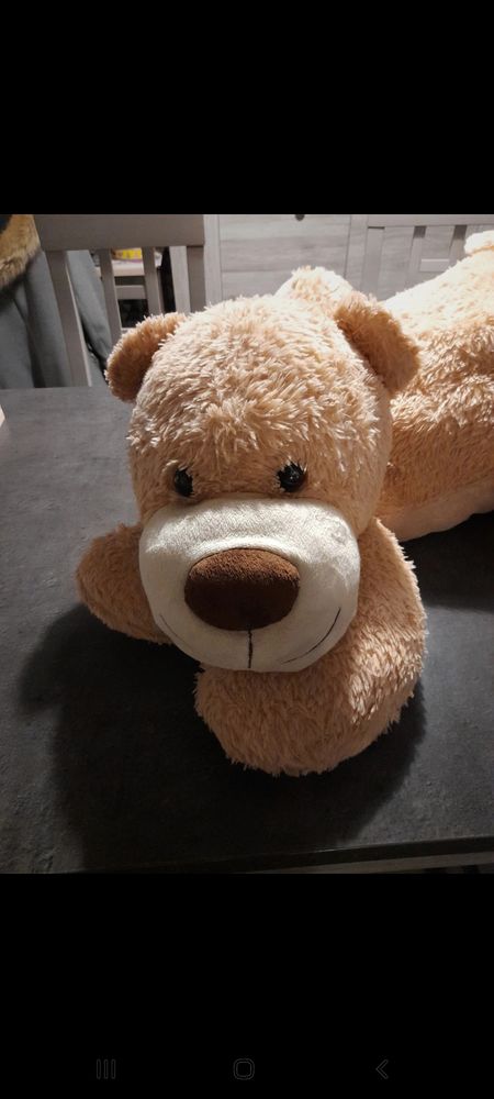 ours en peluche 5 Saint-Pierre-sur-Dives (14)