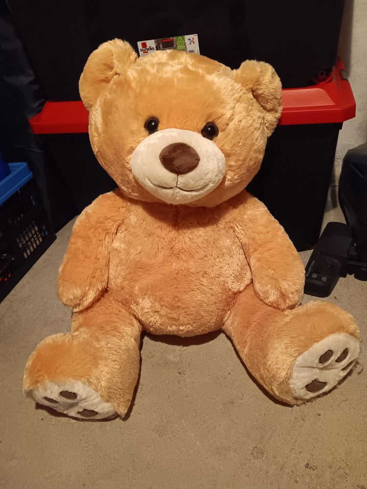 Ours en peluche 10 Saintes (17)