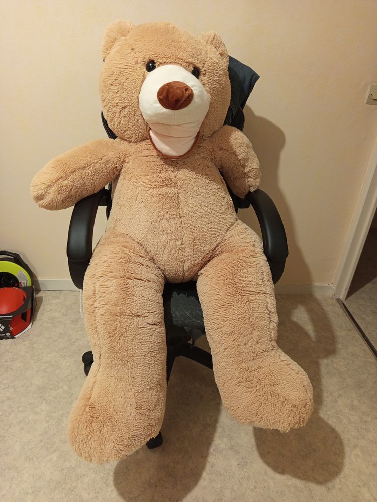 Ours peluche 25 Marigny-le-Ch�tel (10)