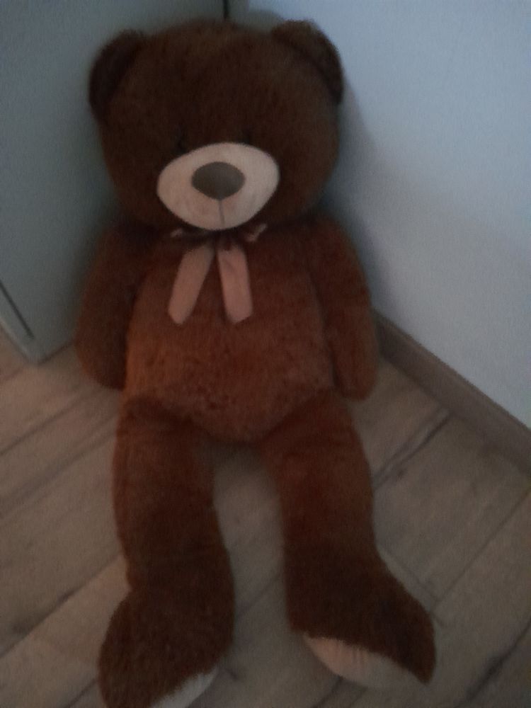 Ours en peluche 0 Cholet (49)