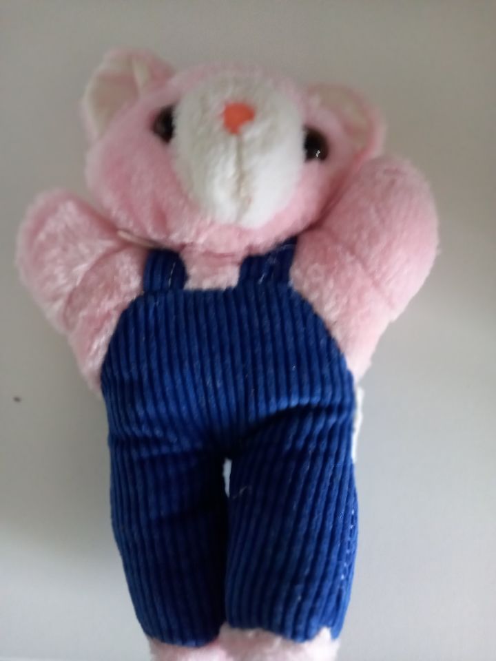 OURS ROSE SALOPETTE Peluche 15 CM 2 Villiers (86)