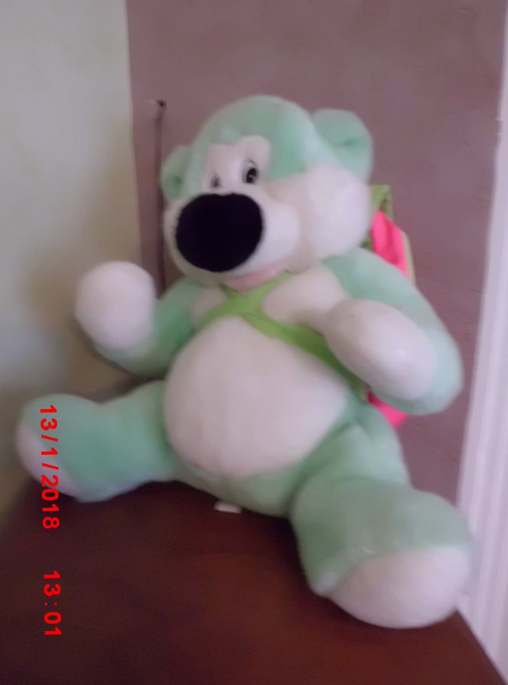 OURS VERT ET BLANC NOUNOURS 24 Oignies (62)