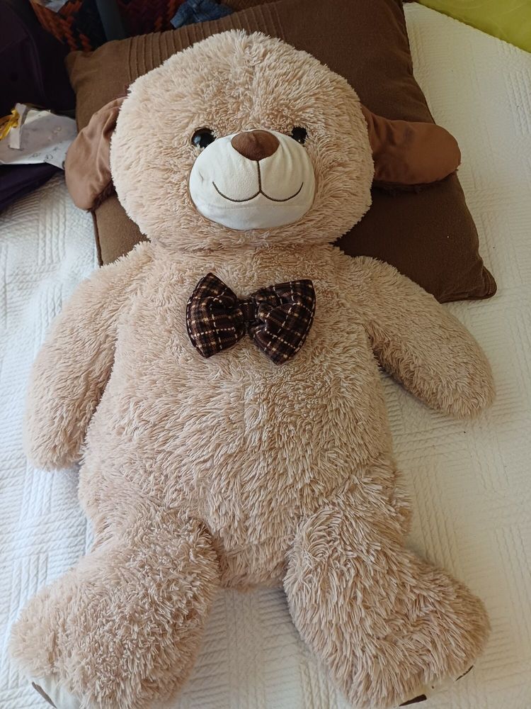 Ourson g�ant 80 cm 20 Sainte-Marie (97)