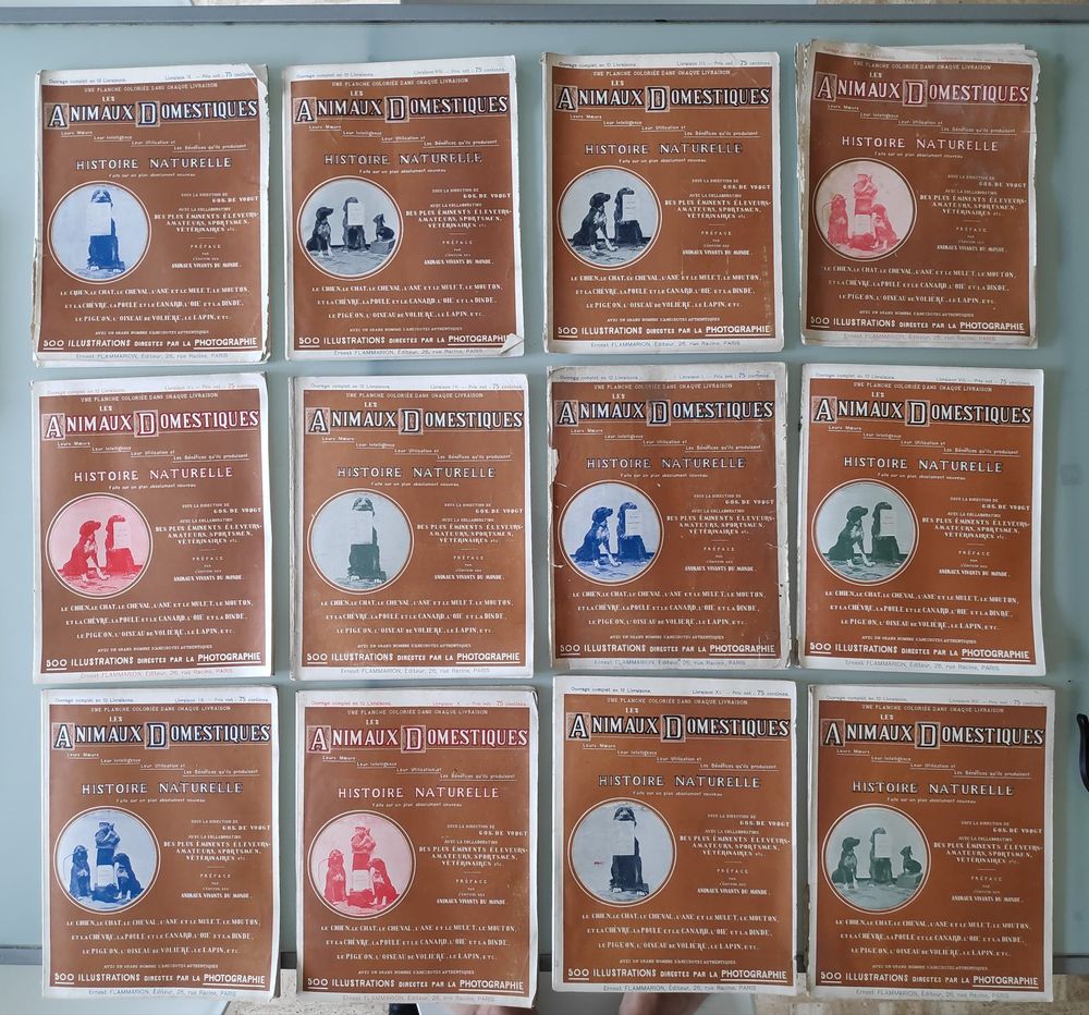 Ouvrage complet   les animaux domestiques  Gos de Voogt 35 Grand-Champ (56)