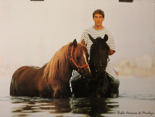    PABLO HERMOSO DE MENDOZA   8 Anglet (64)