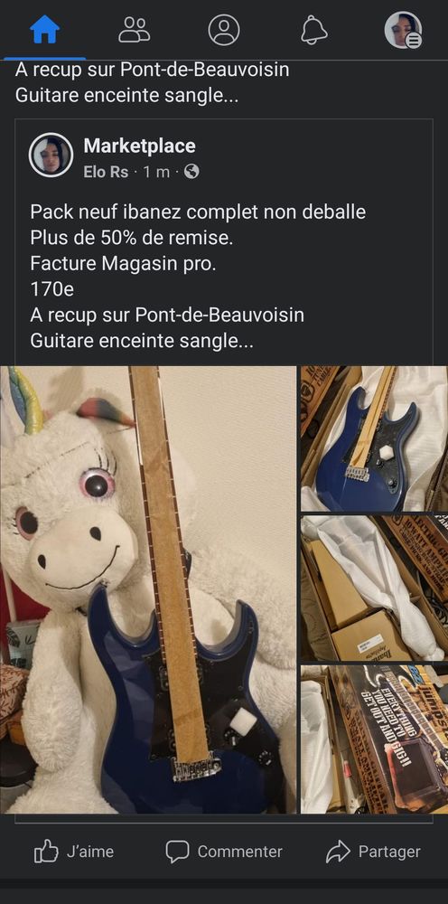 Pack ibanez guitare �lectrique debutant 200 Le Pont-de-Beauvoisin (73)