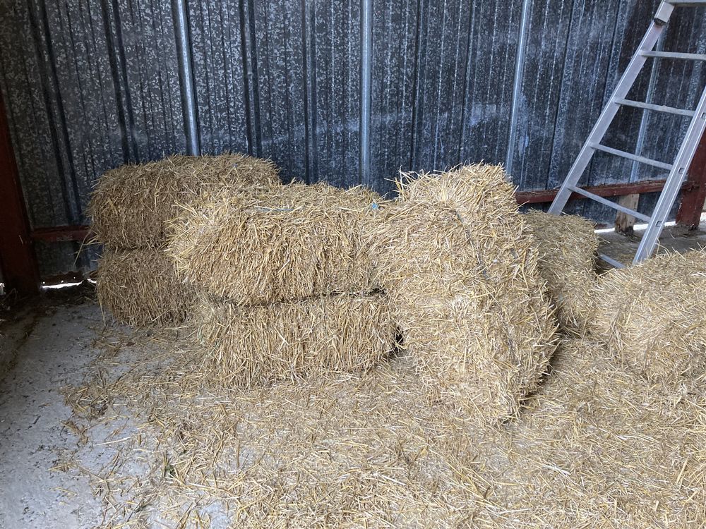 Paillage jardin 3 Sainte-Rad�gonde-des-Noyers (85)