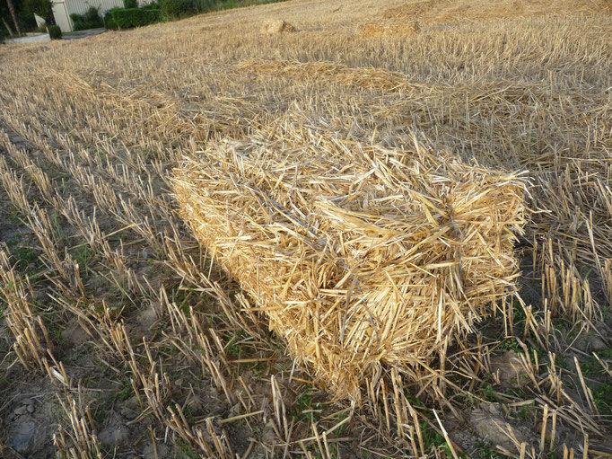 Paille Foin Bio 3 Parthenay (79)