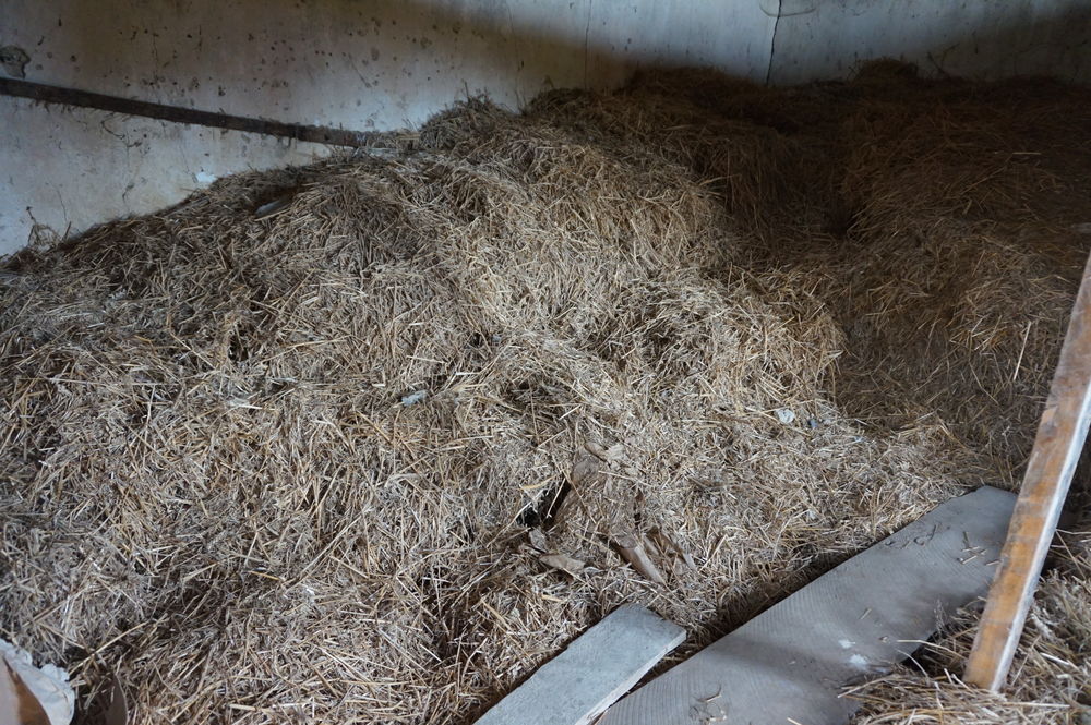 paille pour litii�res d'animaux 0 Clermont-Ferrand (63)