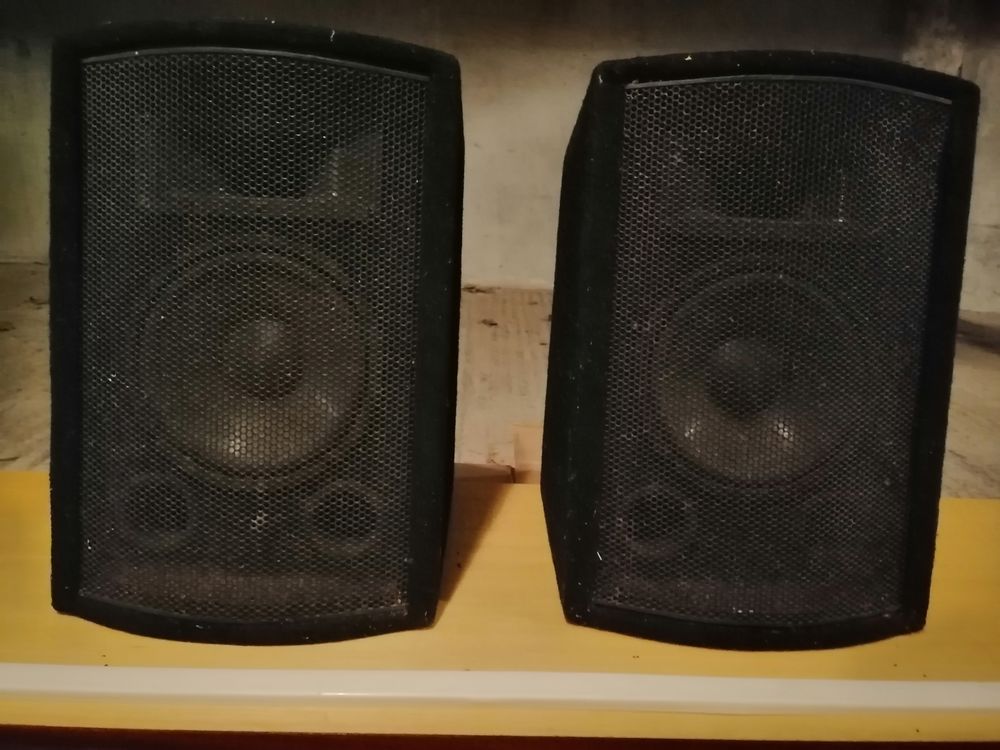 Paire d'enceintes professionnelles 39 Notre-Dame-de-Monts (85)