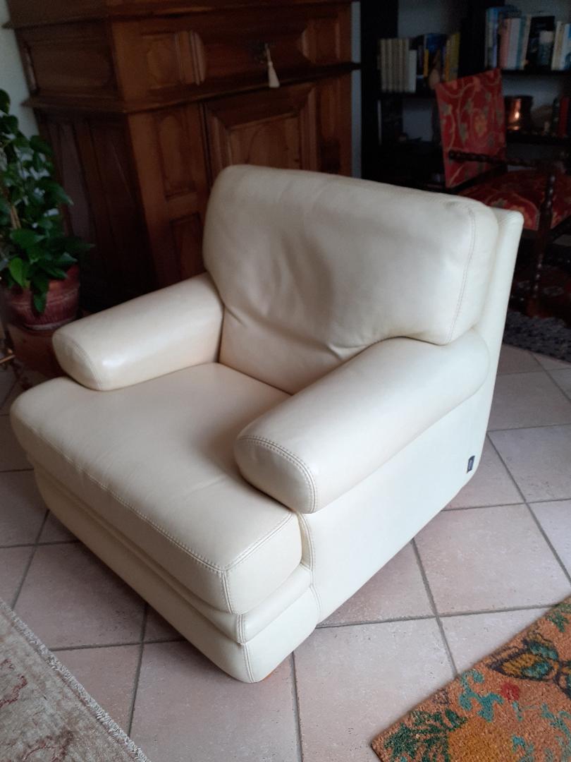 Paire de fauteuils cuir marque Duvivier 200 L�ognan (33)