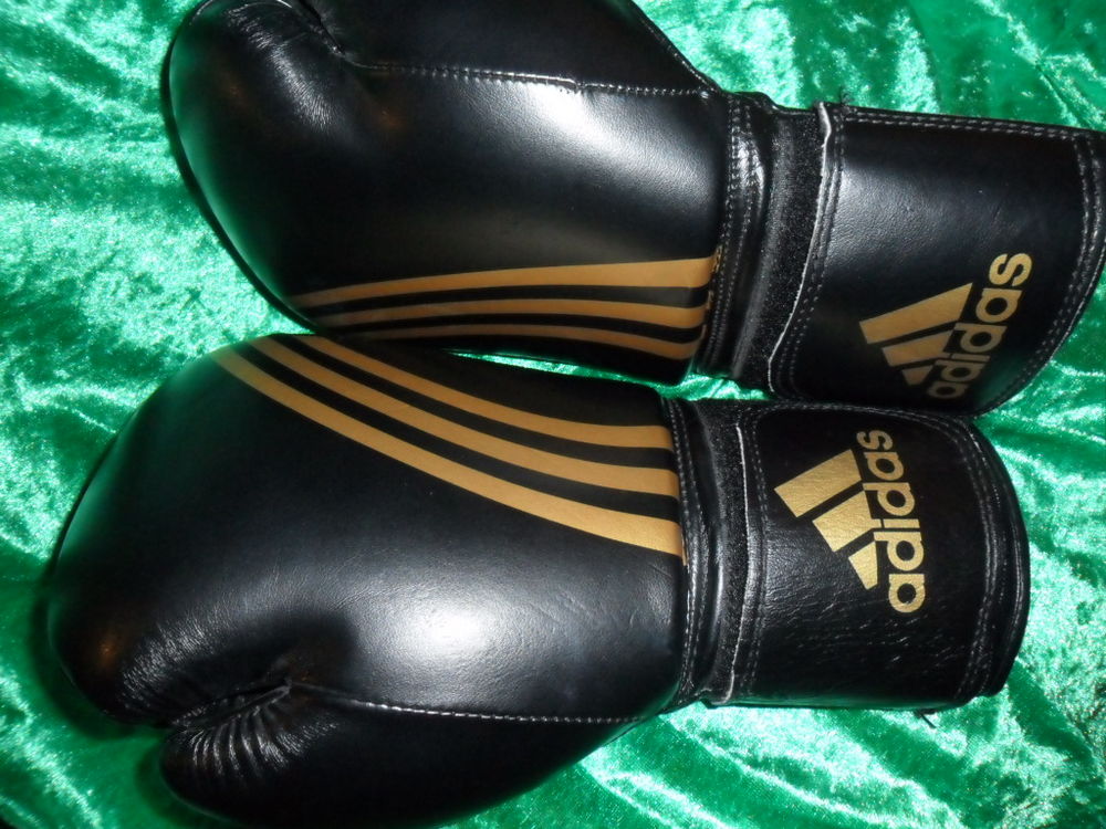 Paire de gants de boxe adulte Adidas 12oz
10 Versailles (78)