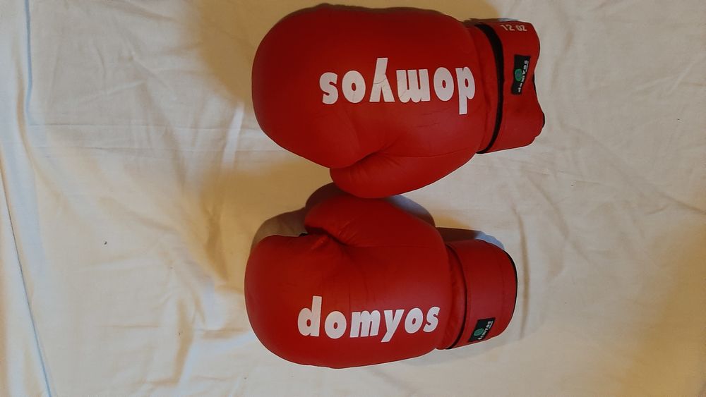 Paire de gants de boxe 15 Cournon-d'Auvergne (63)