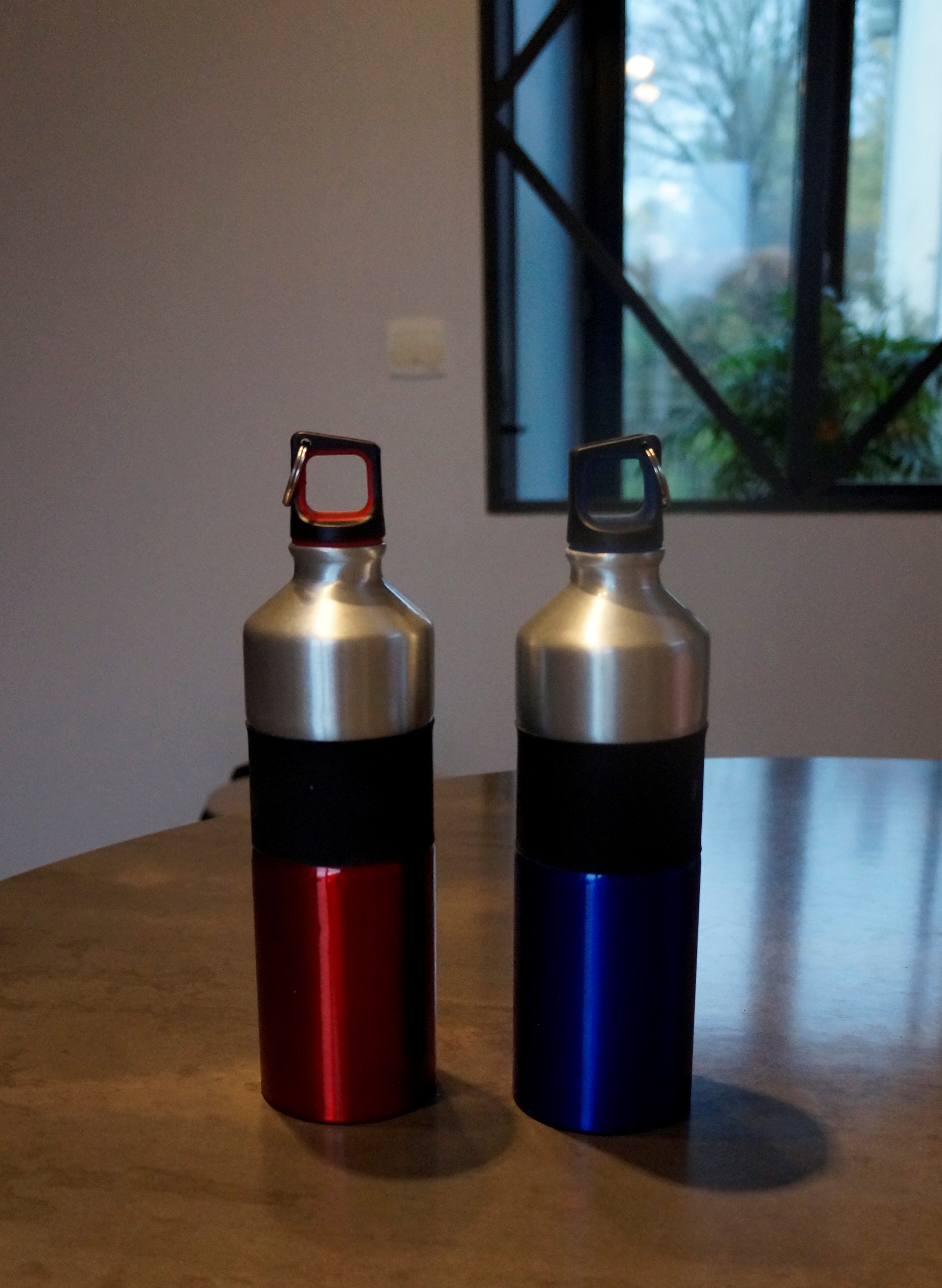 Paire de gourdes isothermes 15 Saint-Sornin-la-Marche (87)