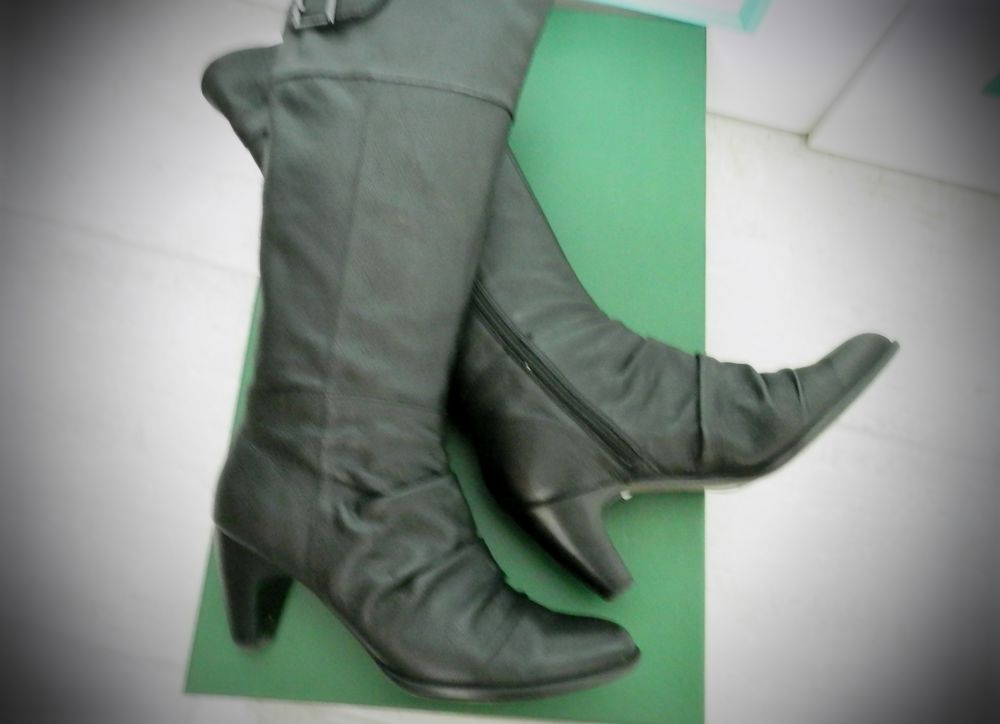 paires de botte femme taille 38 �tat neuf 19 Panazol (87)