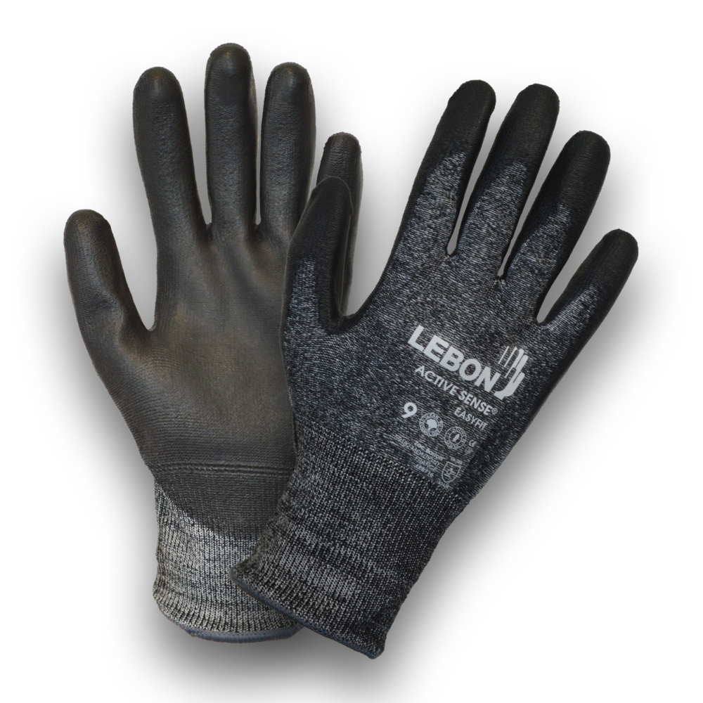 Par lot de 10 paires Gants Lebon Protection EASYFIT/SD taille 9 et 10 R�sistant aux coupures 35 Lens (62)