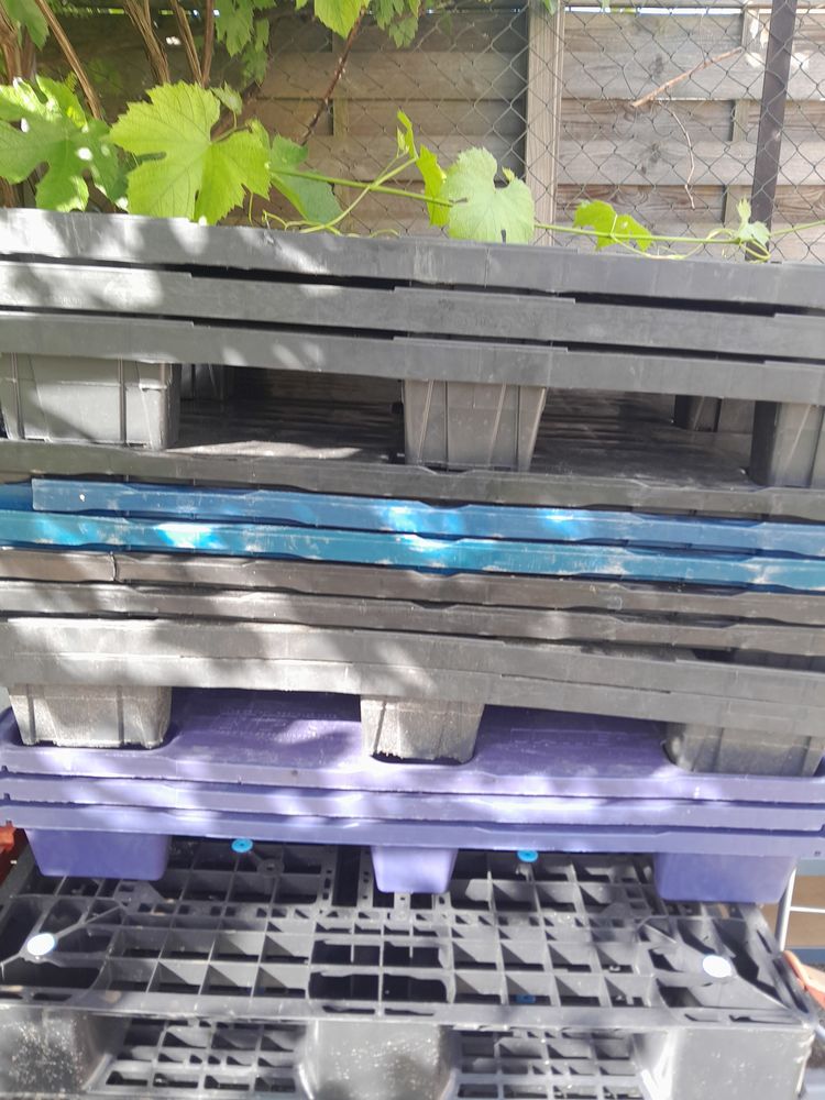 Palette plastique 7 Garges-l�s-Gonesse (95)