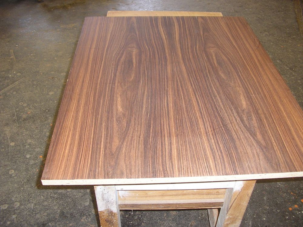 PALISSANDRE des INDES 0 Quessoy (22)