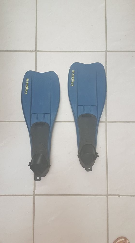 Palme bleue 10 Rosny-sous-Bois (93)