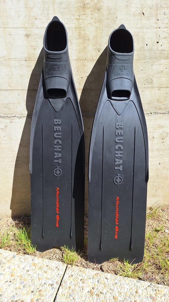 Palmes apn�iste 40 La Ricamarie (42)