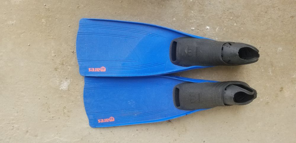 palmes pour mer ou piscine 10 Lasserre-de-Prouille (11)