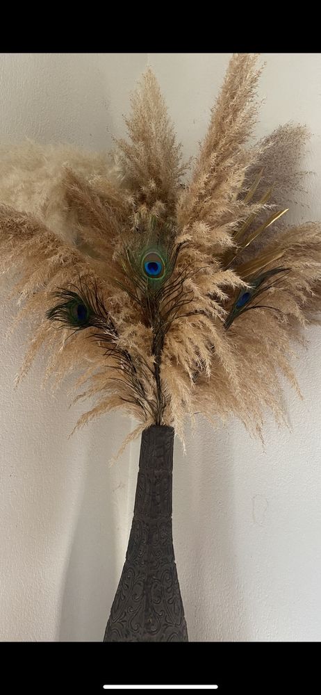 pampas 0 Gignac-la-Nerthe (13)