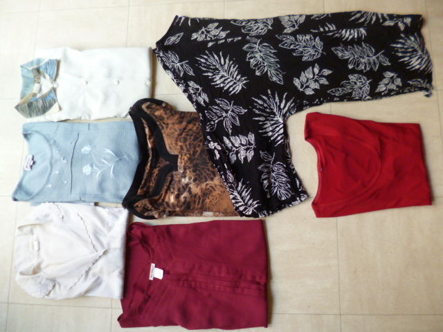 lot de pantalons et hauts - 46 au 50 - zoe 2 Martigues (13)