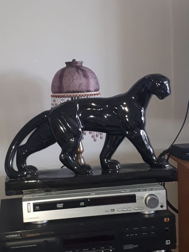 Panth�re noir 0 �pinal (88)