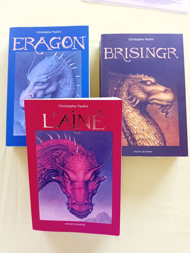 Paolini 15 Nantes (44)