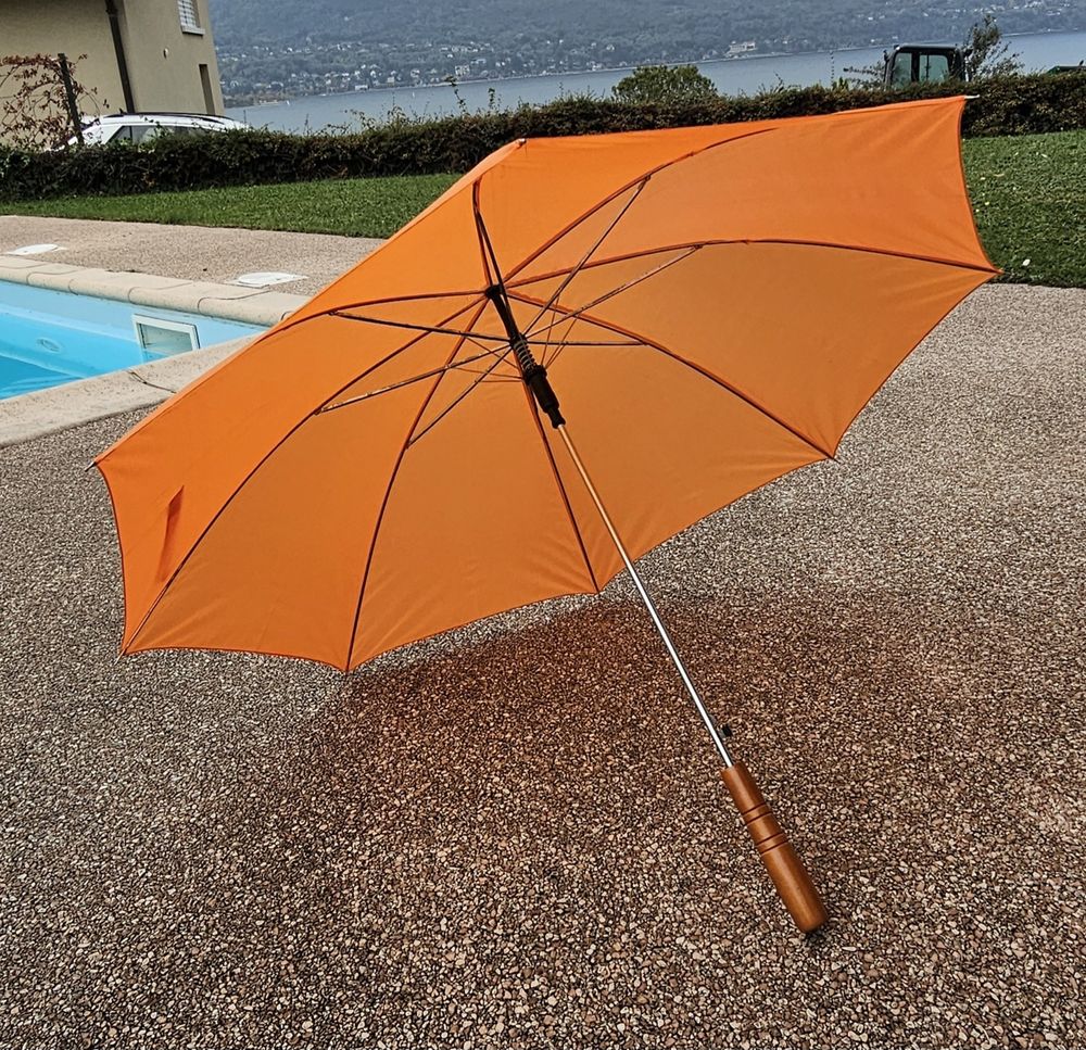 Parapluie 5 Viviers-du-Lac (73)