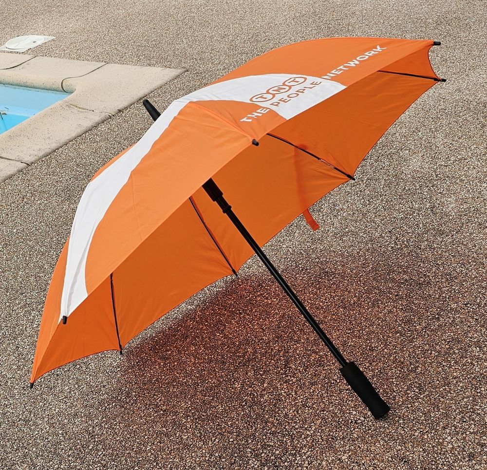 Parapluie 10 Viviers-du-Lac (73)