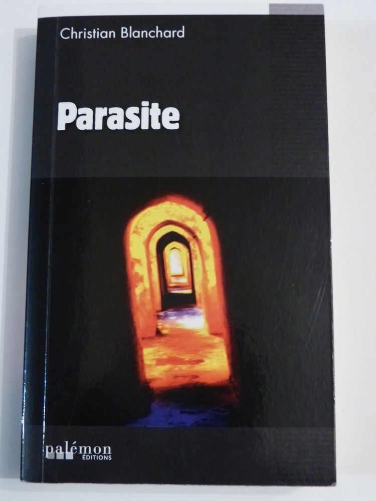 PARASITE  roman policier  PALEMON 4 Brest (29)