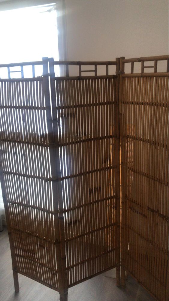 Paravent bambous 25 Metz (57)