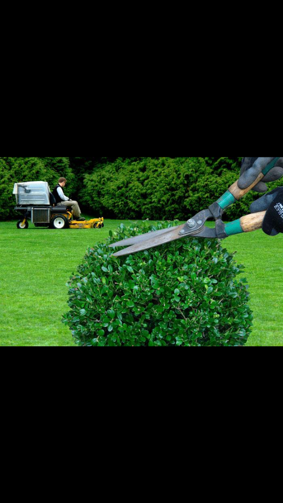 Parcs et jardins 150 Chelles (77)