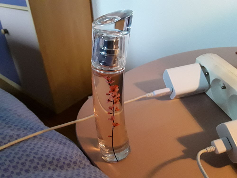 Parfum kenzo ikebana 70 Mackwiller (67)