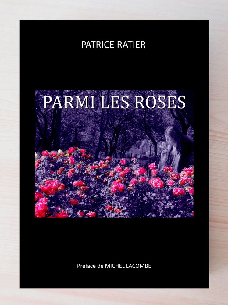 Parmi les Roses Roman fantastique gothique  horreur Vampire 10 Saint-Ambroix (30)