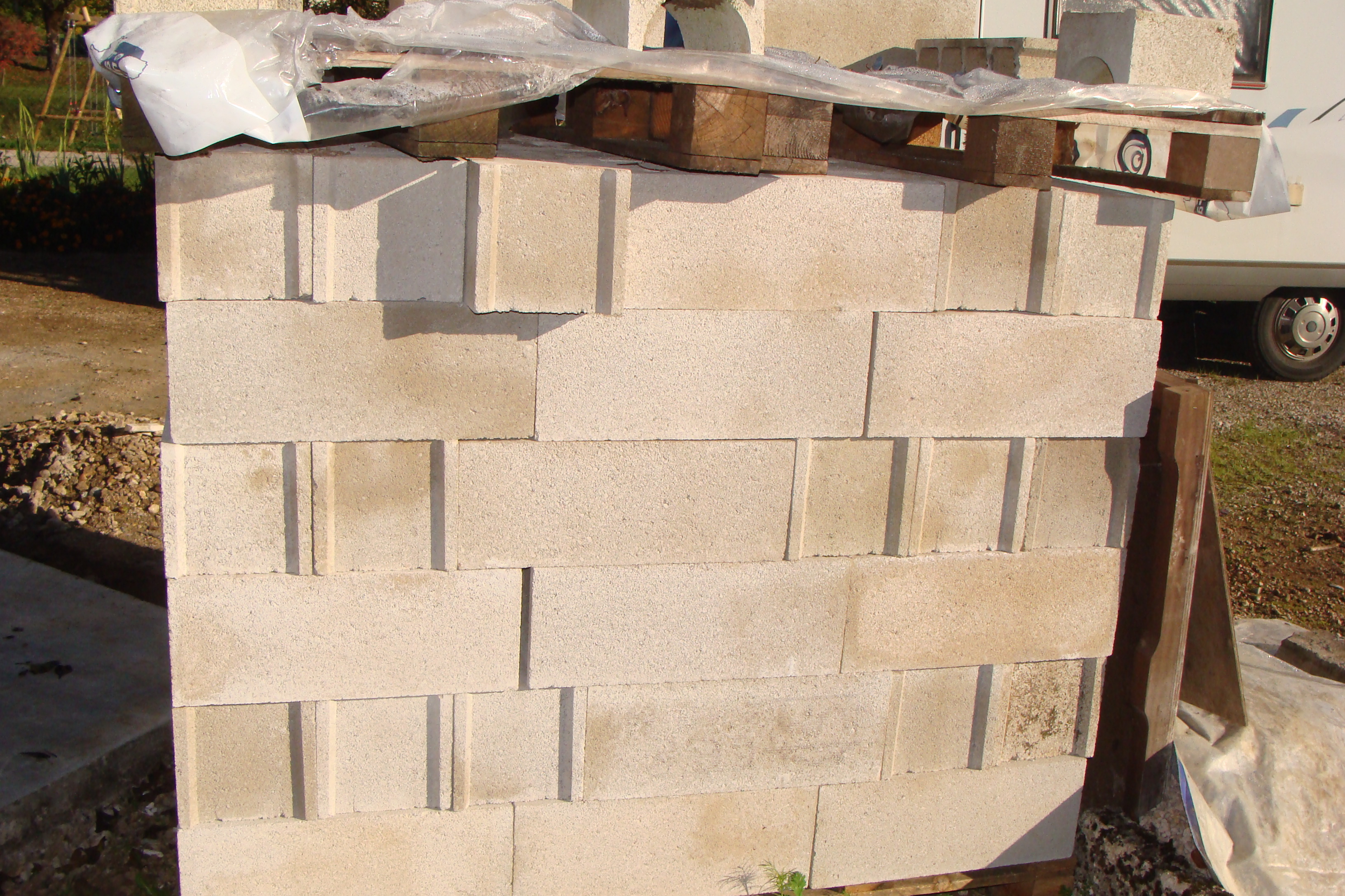 PARPAINGS    20/20/50 60 Chapois (39)